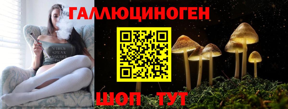Галлюциногенные грибы Cubensis Гусиноозёрск