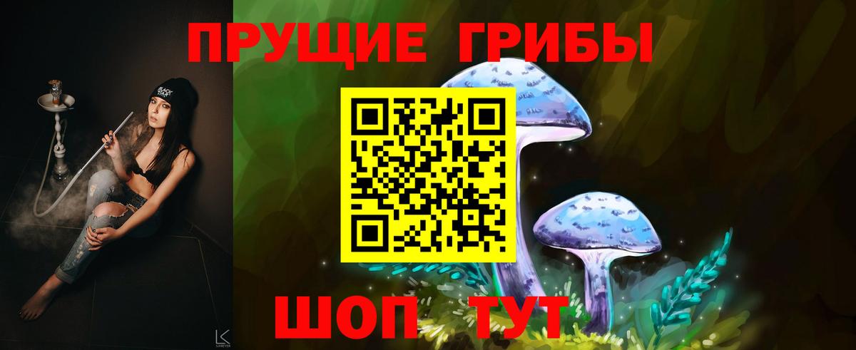 Гусиноозёрск  Псилоцибиновые грибы GOLDEN TEACHER  Вход с VPN 